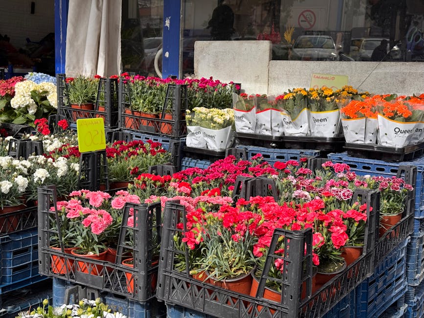 A variety of fresh flowering plants arranged in black plastic crates outside a flower shop. The display includes pink, red, white, yellow, and orange flowers, with some wrapped in white paper and othe